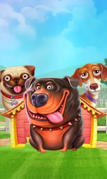 The Dog House